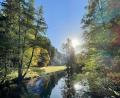 Archivbild: roh
Sonne, blauer Himmel und Wasser: Bei den Wanderungen des FGV Fichtelgebirge kann man die Natur in der Region erleben.