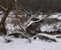 Bild: bö
Der Schnee ist schon wieder "von gestern", aber dieses schöne Stück Natur findnr aufmerksame Wanderer gleich hinter Malsbach. Vielleicht auch bald die Radler, wenn der Radweg von Ursensollen bis nach Allersburg ausgebaut wird.
