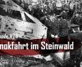 Grafik: Romy Maderer
In Folge 28 von Tödliche Oberpfalz dreht sich alles um eine Schreckensnacht im Steinwald.