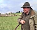 Bild: lg
Der Wanderschäfer Paul Panko ließ seine Herde auf den Fluren von Nunzenried weiden.