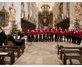 Bild: hmr
Ein stimmungsvolles Weihnachtskonzert bot der Männergesangverein 1865 Waldsassen unter der Leitung von Andreas Sagstetter. Instrumentale Unterstützung leisteten neben Sagstetter an der Orgel Hermann Heinrich mit dem Kontrabass und Stefanie Heinrich mit der Violine.