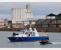 Bild: Heiko Becker/dpa
Taucher mit Sonar, Leichenspürhunde und Sonarboote suchten nach einer vermissten Schwangeren im Nürnberger Hafen.