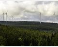 Bild: Hösamer
Nahe des Pfreimder Stadtteils Pamsendorf drehen sich fünf Windräder. Mit dem weiteren Ausbau der Windkraft im Landkreis ging es 2022 kaum voran.