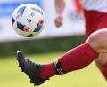 Bild: A. Schwarzmeier
Der Ball kann wieder flach gehalten werden: Nach dem Spielabbruch in der Kreisklasse West bleibt es bei der 0:2-Wertung für den SVSW Kemnath und FC Kaltenbrunn.