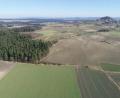 Bild: bey
Die grau-braun erscheinende Fläche oberhalb sichtbaren Querweges (unterer Bildrand), eingegrenzt vom Wald und dann fortlaufenden Weg (links), der rechts einen sichtbaren "Einschnitt" von einer Grünfläche aufweist, wird zum "Solarpark Am Hardt". Im Hintergrund der Basaltkegel und der Markt Parkstein.
