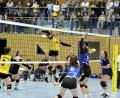 Archivbild: Hubert Ziegler
Im ersten Heimspiel des Jahres erwarten die Hahnbacher Volleyballerinnen um Kapitänin Julia Polito (Mitte) den Oberpfalzkonkurrenten TB/ASV Regenstauf.