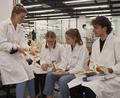Bild: olr
Die Studierenden Vanessa-Isabell Krüger, Lisa Ebner, Lena Dudziak und Lucas Lehner arbeiten in ihrer Ausbildung an konservierten menschlichen Leichen.
