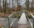 Bild: Gabi Schönberger
An oder neben der Brücke über die Floß im Felixwald könnte die Fernwärmeleitung für Stadthalle, Schloss und Sparkasse künftig verlaufen, falls nicht die Variante am Bocklweg zur Windschnur realisiert würde.