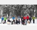 Archivbild: gis
Die 2018 schon sehr beliebte Wanderung mit Hunden, geführt vom FGV Mehlmeisel, wird auch am Sonntag wieder stattfinden.