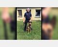 Bild: Polizei Marktredwitz
Enrico Lauer mit seinem Polizeihund Melvin.