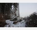 Bild: frd
Idyllische Plätze, wie hier auf der Höhe am "Waldfriedens" sind bestens für das "Teunzer Landschaftskino" geeignet. Der Teunzer Gemeinderat reichte einen Förderantrag für das Kleinprojekt ein.