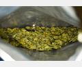 Symbolbild: Nicolas Armer /dpa 
Im Vorfeld der Razzia am Dienstag sind 20 Kilogramm Marihuana sichergestellt worden. Durchsuchungen fanden in Amberg, Pressath (Ldkr. Neustadt/Waldnaab), Weiden und München statt.