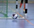 Symbolbild: Hubert Ziegler
Auf Torejagd gehen am Wochenende die U13- und U15-Juniorinnen und die U13-Junioren bei ihren Bezirksmeisterschaften im Futsal.
