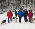 Bild: Tourismus &amp; Marketing Ochsenkopf/exb
Die Wanderung mit Hunden bei Mehlmeisel kam wieder gut an.
