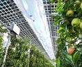 Bild: Felix Kästle/dpa
Andreas Mark will eine Agri-Photovoltaik-Anlage bei Ellenfeld bauen. Sein Antrag löste eine Grundsatzdiskussion in Bärnauer Stadtrat über Freiflächen-Photovoltaikanlagen aus. Doch der Beschluss, Solarparks weiterhin konsequent abzulehnen, bleibt bestehen.