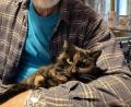 Bild: twitter.com/general_pavel
Der tschechische Präsident Petr Pavel mit seiner Katze Micka. Mit ihr hat sich Pavel mehrfach auf Twitter präsentiert.