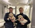 Bild: Polizeiinspektion Tirschenreuth/exb
Die beiden Polizisten Kevin Weiß und Alexander Faltenbacher (von links) mit den ausgebüxten Welpen.