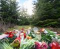 Bild: Julian Stratenschulte/dpa
Blumen und Kerzen liegen an einer Tannenbaumschonung in Wunstorf. Nach der Tötung eines 14-jährigen Jungen sind die Hintergründe der Tat weiter unklar.