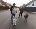 Bild: rn
Die Stadt Eschenbach überlegt eine Anleinpflicht für Hunde. Damit hätte dieses Paar kein Problem. Es leint seine Hunde bereits generell an.