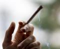 Bild: Fabian Sommer/dpa
Wegen Handels mit kiloweise Haschisch und Marihuana, wie es in Joints geraucht wird, stand ein 19-Jähriger in Schwandorf vor Gericht.