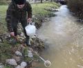 Bild: mrr
Fischereivereinsvorsitzender Robert Scherer setzt die Forellenbrütlinge in den Mühlbach in Siegenhofen ein.