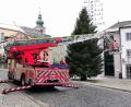 Bild: Portner
Die neue Drehleiter der Feuerwehr Oberviechtach hat ihren "ersten Einsatz" bei der Demontage des Christbaums noch als Testfahrt absolviert.
