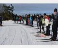 Bild: eib
Traumwetter beim Skating-Kurs am Wochenende im NSC. Basti Riedl (links) leitet den Kurs. Mit dabei beim Lernen ist auch Vorstandsteammitglied Andrea Spichtinger (Vierte von rechts)