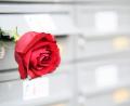 Symbolbild: Soeren Stache/dpa
Am 14. Februar ist Valentinstag. Doch brauchen wir den Tag wirklich, um die Liebe zu feiern?