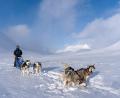 Archivbild: Sandra Butscheike und Steffen Mender/exb
Live-Multivisionsshow - Skandinavien - Norwegen, Schweden & Finnland. - Huskytour auf dem Kungsleden