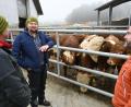Bild: Armin Hofabuer/exb
Biolandwirt Günther Böhm (Mitte) zeigt Kollege Max Berghammer (links) und Ökolandbau-Berater Herbert Wendl vom AELF seine Tiere. Die rund 100 Mastrinder liefern wertvollen organischen Dünger für seine Felder.