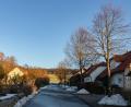 Bild: Susanne Forster
An der Paulusbrunner Straße in Bärnau stehen mehrere Linden. Weil ihre Wurzeln Schäden an der anliegenden Pflasterfläche, den L-Steinen zur Wasserführung und teilweise an den Zäunen der Anlieger verursachen, sollen manche der Bäume gefällt werden.