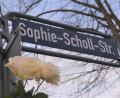 Bild: Dieter Weiß/exb
Drei weiße Rosen in Erinnerung an die Weiße Rose. Die Amberger SPD setzt in der Sophie-Scholl-Straße ein Zeichen.