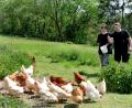 Archivbild: Stephan Huber
Michaela und Andreas Walz haben in Schäflohe einen Lebensraum für Tiere geschaffen.
