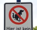 Bild: Roland Holschneider/dpa
Hinterlassenschaften von Hunden finden sich in Tirschenreuth am Ziegelanger, am Maximilianplatz, am Fahrradweg bei der Kornbühlstraße und auch in der Bad- und Schmellerstraße. Die Stadt verhängt hier Bußgelder.