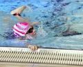 Bild: Hubert Ziegler
Geschwommen wurde in der Schwimmhalle des KA2 in Kümmersbruck auf der 25-m-Bahn.