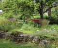 Archivbild: ds
Der Kräutergarten, den Mitglieder und Helfer des Gartenbauvereins Schmidtstadt und Umgebung gepflegt haben, wird im Lauf des Jahres aufgelöst.
