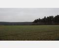Bild: mrr
Der Südwest-Hang am westlichen Ortsende von Kreuth würde sich laut Betreiberfirma gut für die Solarstromerzeugung eignen. Einsehbar wäre der Solarpark nur von einer Seite.