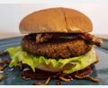 Bild: scm
In Online-Shops gibt es verschiedene Burger-Patty-Varianten mit Insekten. Preislich liegen zwei Pattys bei rund fünf Euro, plus Versandkosten.