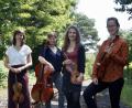 Bild: cog
Das Kaliana-Streichquartett tritt in der Kammermusikreihe in Sulzbach-Rosenberg auf.