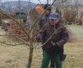 Bild: Stephanie Teplitzky/exb
Experte beim Obstbaumschnitt: Der Oberviechtacher OGV-Vorsitzende Karl Ruhland erklärt den richtigen Kronenaufbau.