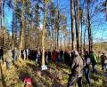 Bild: Maderer/exb
Wie die Balance zwischen Waldnutzung und -pflege gehalten werden kann, erfuhren interessierte Waldbesitzer im Neunburger Spitalwald. Es wurde auch erläutert, welche Baumarten in Zeiten des Klimawandels in den Wald der Zukunft gehören.