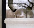 Bild: bkr
Wird das Wasser knapp? Alleine mit einem Eimerchen am Abflussrohr eines Gewächshauses wird es angesichts der aktuellen Entwicklung und der Erfahrung aus dem vergangenen Jahr nicht mehr getan sein, um ausreichend Wasser für die Bewässerung des Gartens zu sammeln.