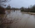 Bild: rha
Der seit Mittwochabend anhaltende Regen ließ die Vils bei Vilseck (Bild) und Hahnbach über die Ufer treten.