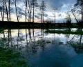 Bild: Gabi Schönberger
Eine Wiese bei Altenstadt/WN ist überflutet. Derzeit gilt im Landkreis Neustadt/WN eine Hochwasserwarnung.