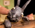 Bild: Theater Artisanen/exb
"Der kleine Angsthase" springt am Mittwoch beim Kindertheaterfestival in Amberg für "Bay Dronte" ein.