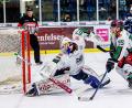 Bild: Werner Moller
Die Starbulls Rosenheim, Vizemeister der Oberliga Süd, um den starken Torwart Christopher Kolarz (links) sind in der Play-off-Serie gegen die IceFighters Leipzig klarer Favorit.