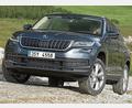 Bild: Skoda/dpa 
Mit dem Namen Kodiaq nimmt Skoda Bezug auf den Kodiakbären.