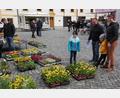 Bild: kro
Die vielen blühenden Frühlingsblumen hatte es dieser Familie beim Josefi-Markt in Waldsassen angetan.