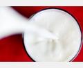 Symbolbild: Roland Weihrauch/dpa
Milch hat nach den für sie akzeptablen Preisen im Jahr 2022 den Erzeugern zuletzt wieder weniger Geld in die Kassen gespült.
