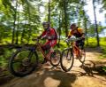 Symbolbild: Peter Steffen/dpa
Auf den künftigen Strecken der Bikeschaukel Fränkische Schweiz in der Frankenpfalz soll schon "ein gewisser Trail" dabei sein, kündigt das Büro Geoplan an.